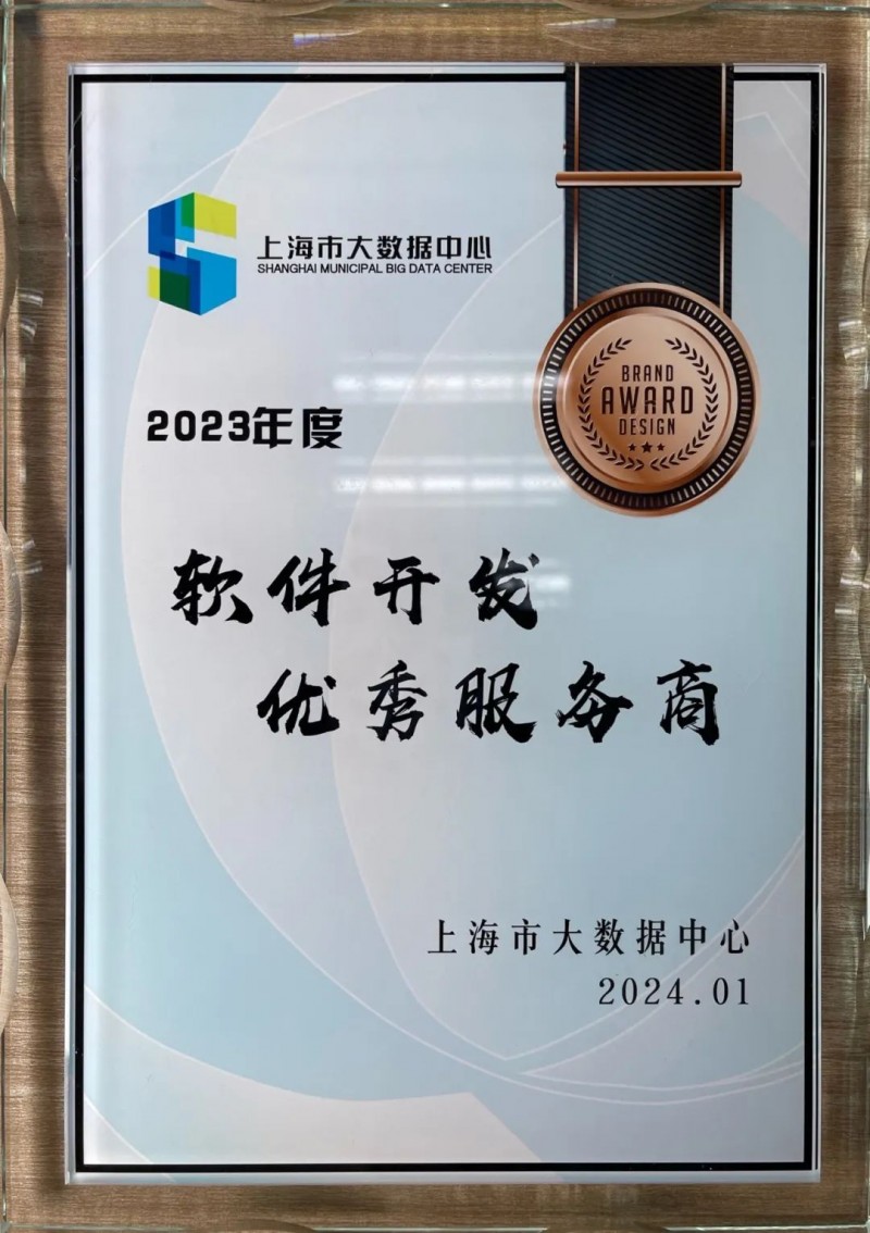 上海软件开发:数字时代的技术引擎